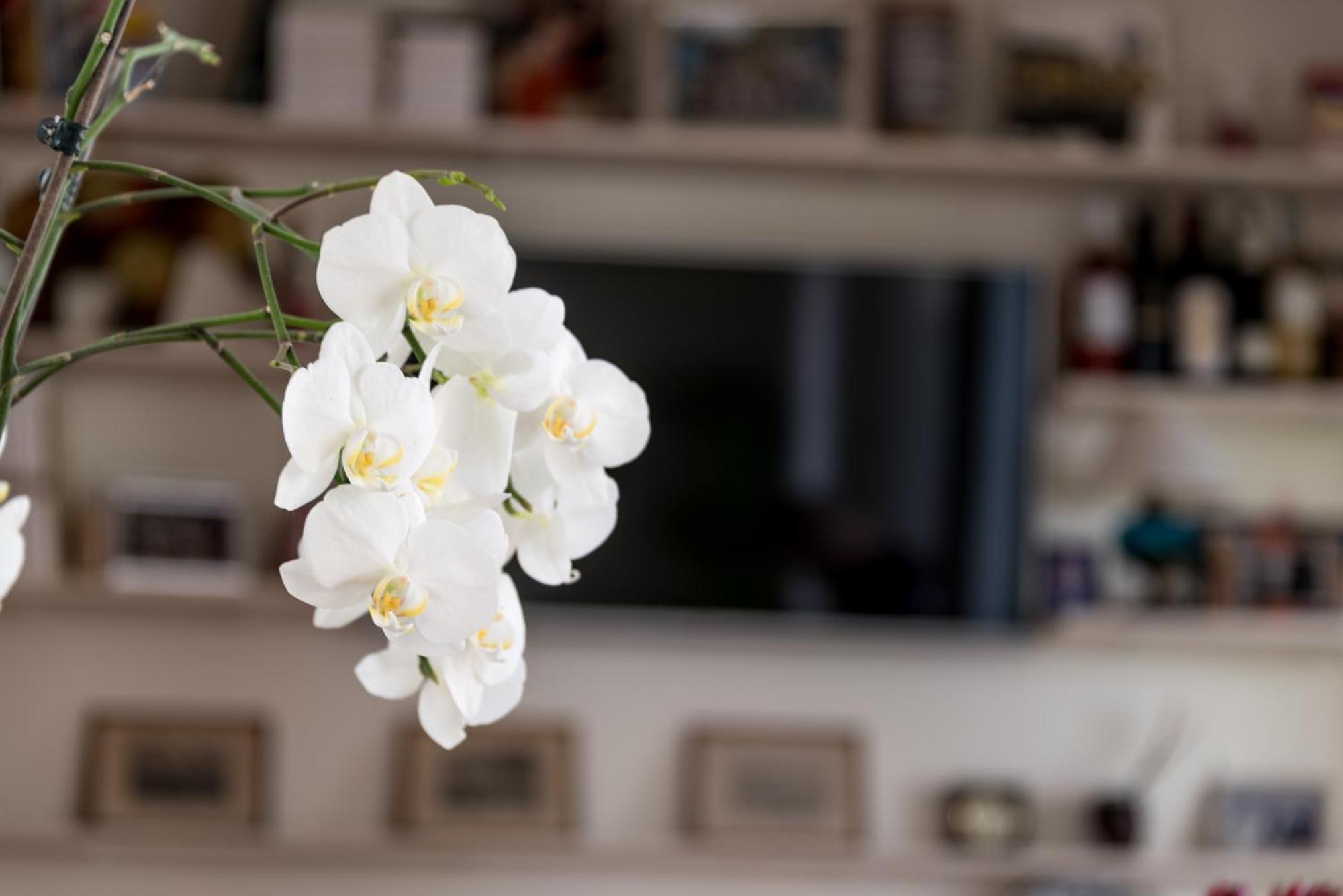 Santa Cruz - B&B Lagos Zewnętrze zdjęcie
